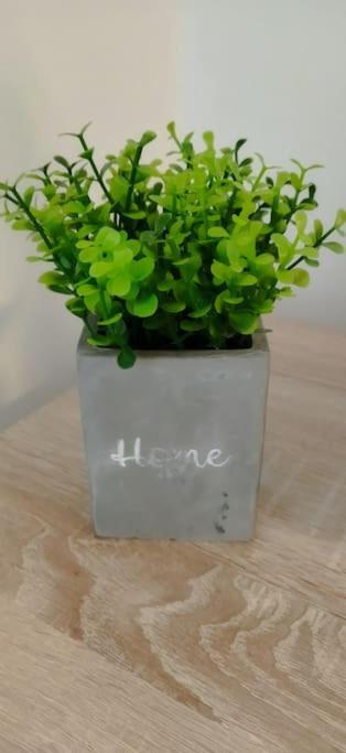 Cute Apartment Marla Art Close To Center Пула Екстериор снимка